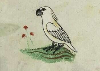 צילום: באדיבות הוותיקן