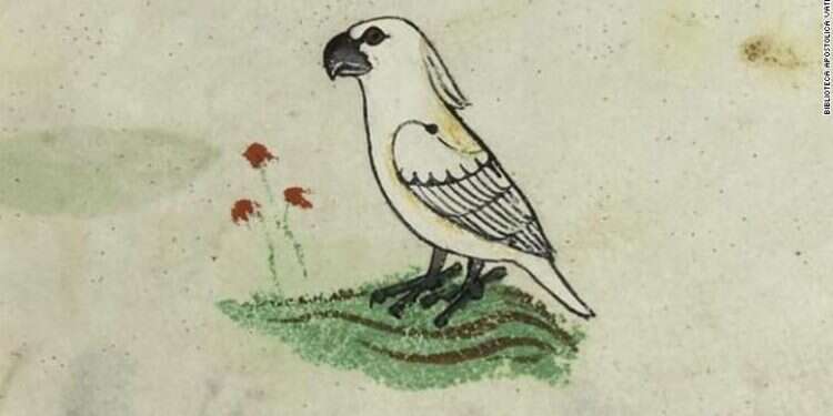 האיור של הקיסר. צילום: באדיבות הוותיקן צילום: באדיבות הוותיקן