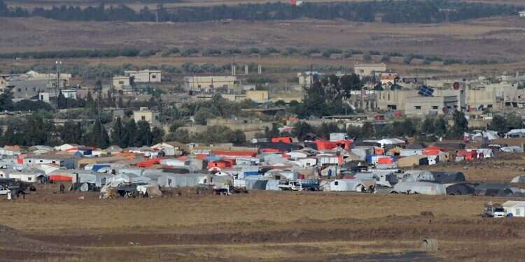 צילום: גיל אליהו, ג'יני