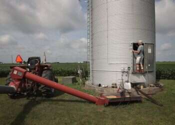 צילום: איי אף פי