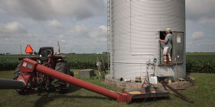 צילום: איי אף פי