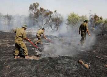 צילום: איי אף פי