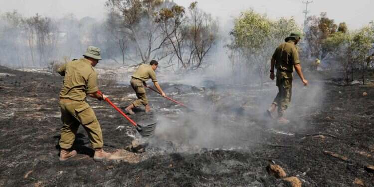 צילום: איי אף פי