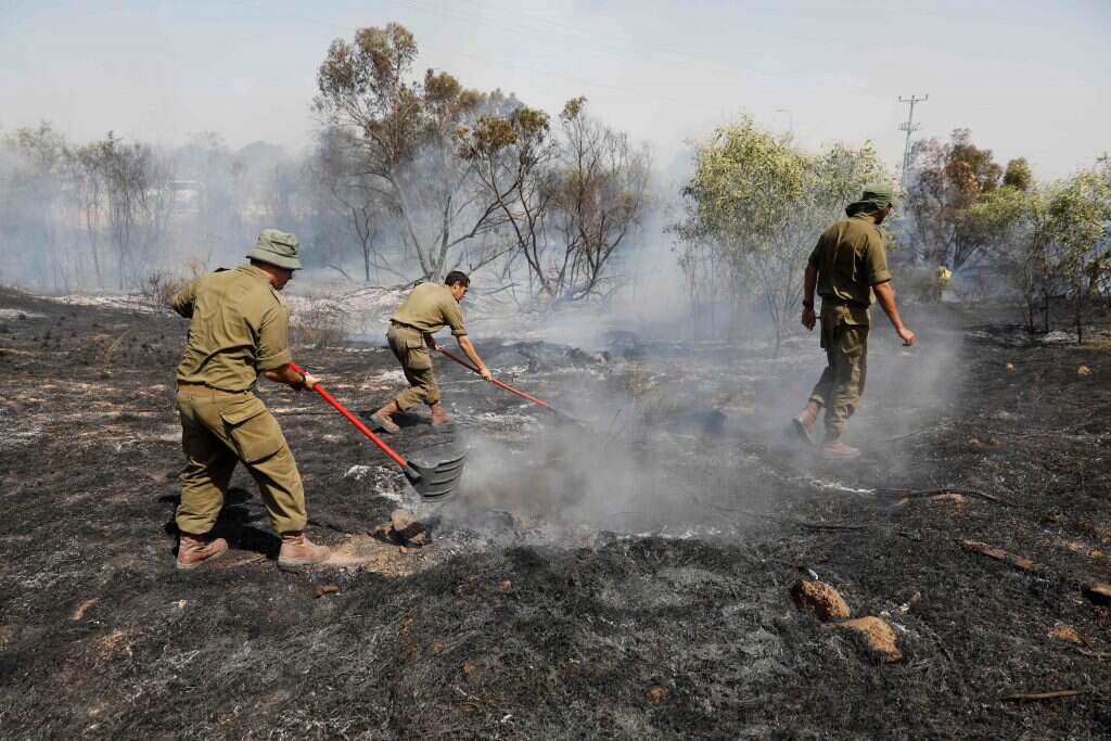 צילום: איי אף פי