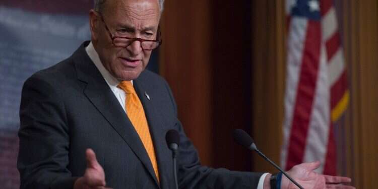 הסנאטור הדמוקרטי צ'אק שומר. צילום: AFP צילום: AFP