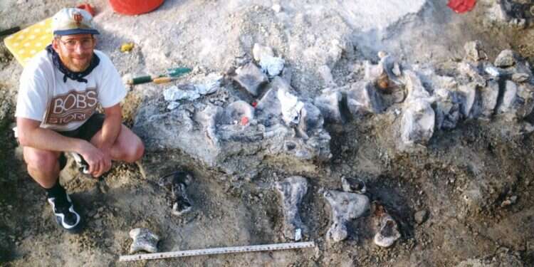 רגל הברכיאזור שנמצאה בוויומינג. צילום: AFP צילום: AFP