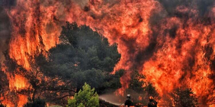 כבאים בניסיון להשתלט על הדליקה. צילום: AFP צילום: AFP