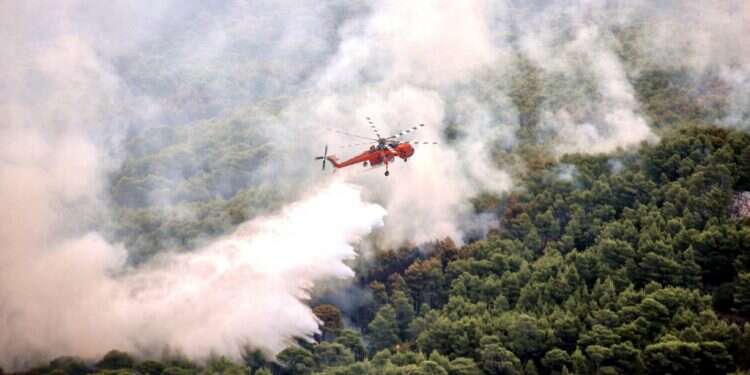 אש ביערות יוון. צילום: AFP צילום: AFP