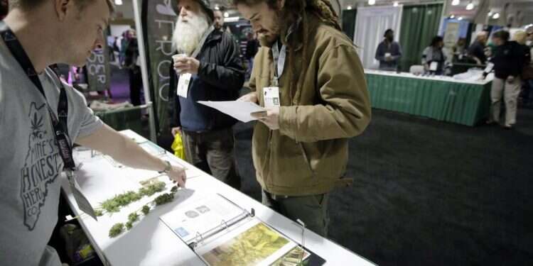 כנס הקנביס של ניו אינגלנד בבוסטון, בחודש מארס. צילום: AP צילום: AP