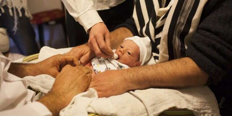 צילום: יונתן זינדל, פלאש 90 צילום: יונתן זינדל, פלאש 90