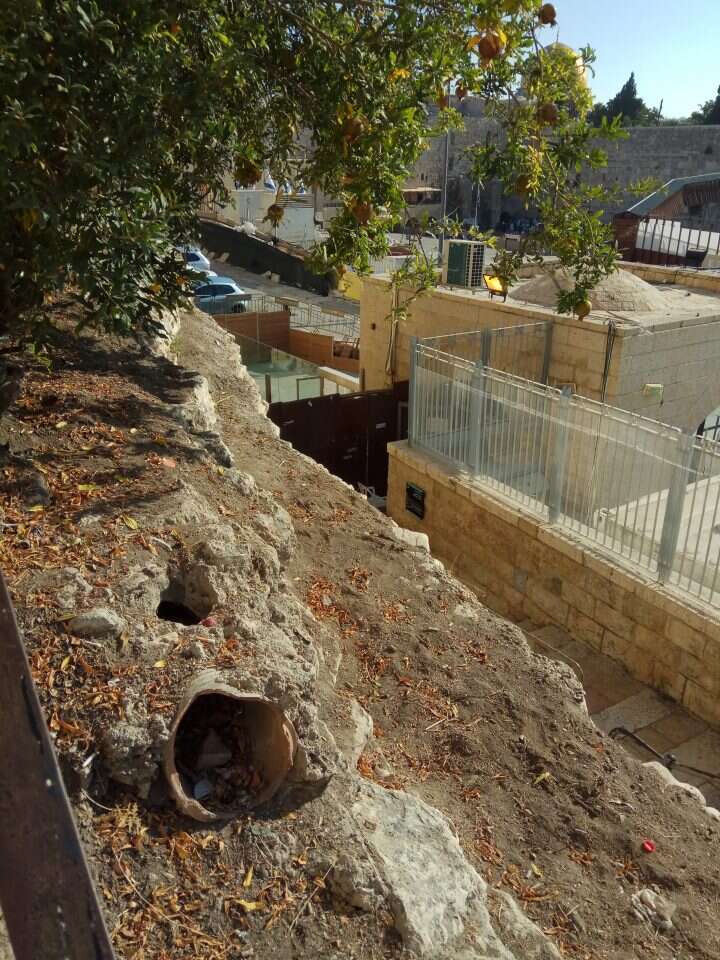 צילום: ארנון סגל