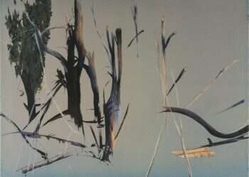 צילום: יעקב ישראל. הוצג בתערוכה ריאה ירוקה בגלריה ביתא בירושלים