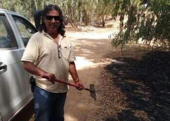 צילום: אלישיב רייכנר