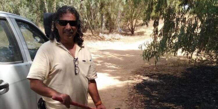 צילום: אלישיב רייכנר