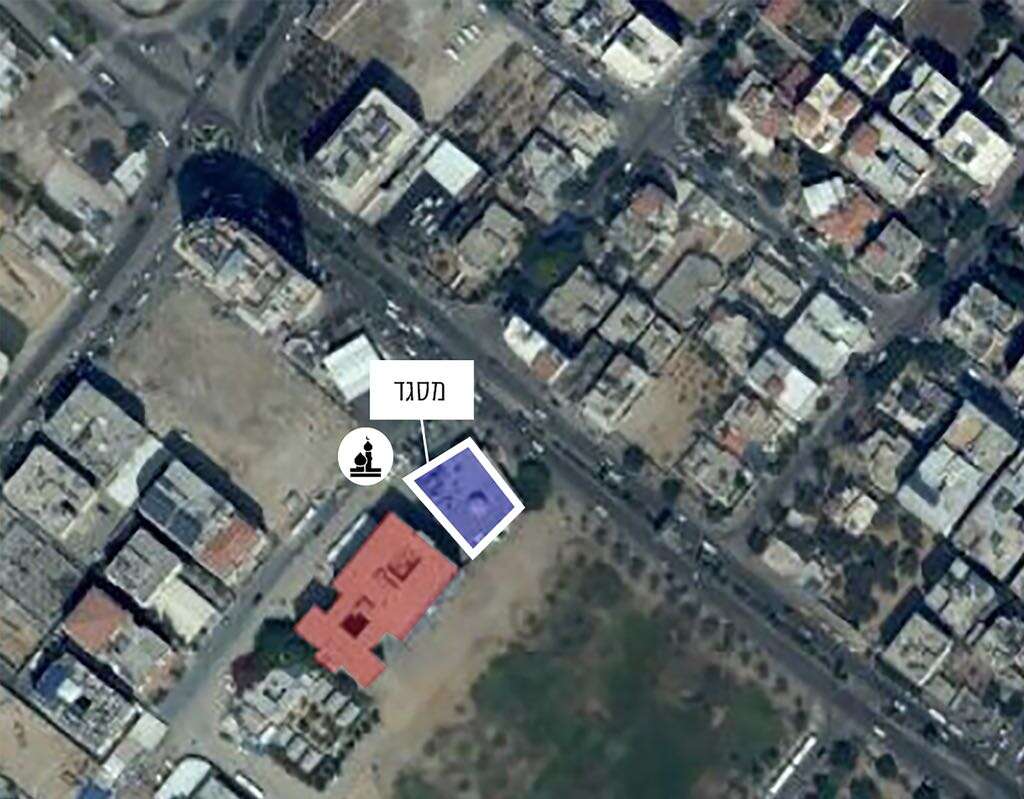 צילום: דו''צ