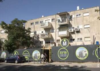 צילום: אופיר דוד