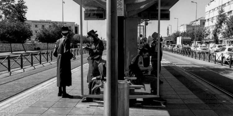 צילום: אלישע נדב