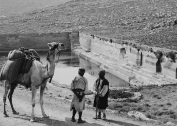 צילום: באדיבות ספריית הקונגרס האמריקא