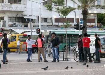 צילום: גדעון מרקוביץ'
