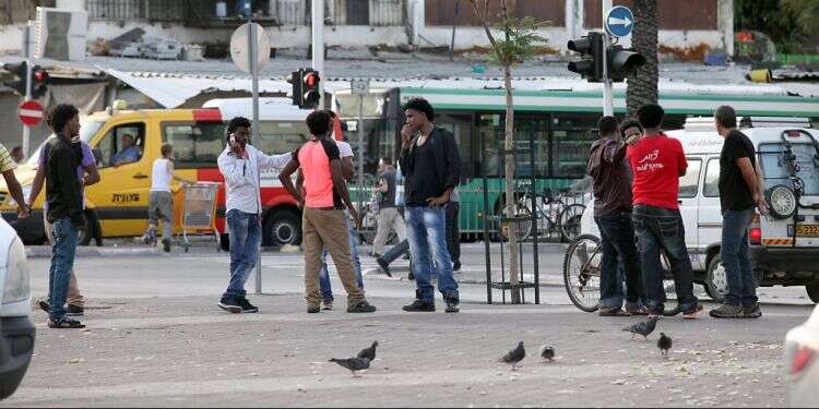 צילום: גדעון מרקוביץ'