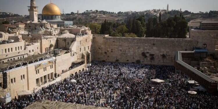 צילום: יונתן זינדל/פלאש90