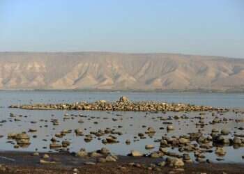 צילום: גיל אליהו, ג'יני