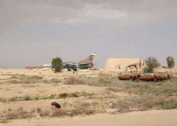 צילומים : FAN