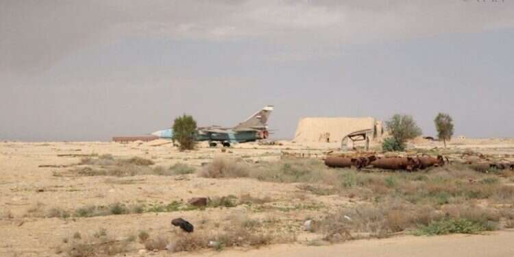 צילומים : FAN