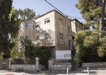 צילום: אופיר דוד