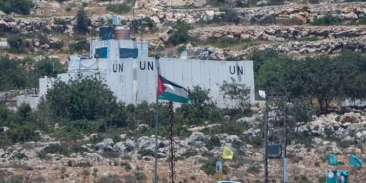 צילום: אייל מרגולין - ג׳יני