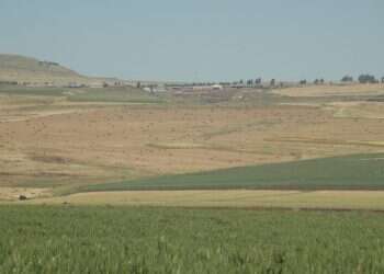 צילום: איציק אברבנאל קיבוץ לביא