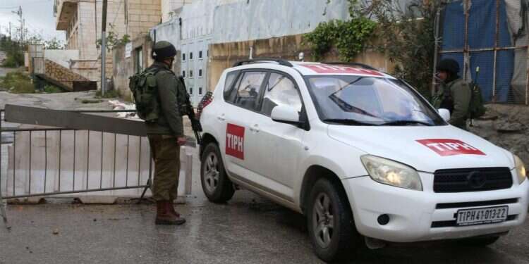 צילום: מירי צחי