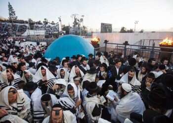 צילום: דרור ארצי, ג'יני