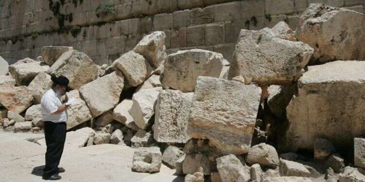 צילום: מרים צחי