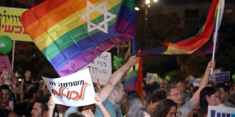 הפגנת להט צילום: גדעון מרקוביץ