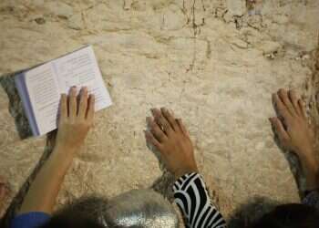 צילום: מרים צחי