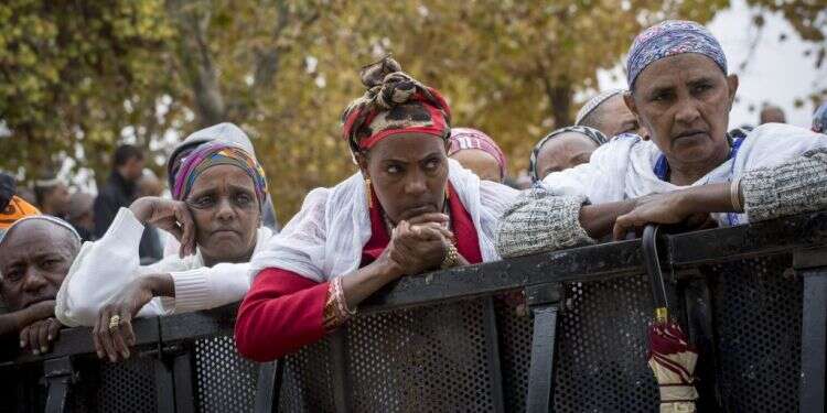 צילום: מרים אלסטר, פלאש90