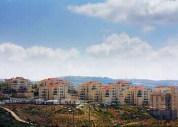 צילום: שאטרסטוק