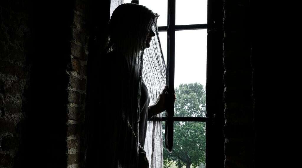 צילום: שאטרסטוק צילום: שאטרסטוק