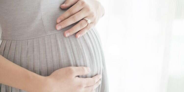 צילום: שאטרסטוק