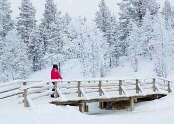 צילום: שאטרסטוק