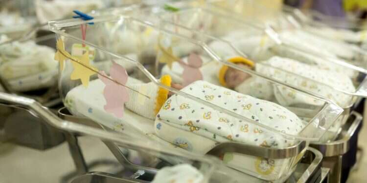 תינוקייה (אילוסטרציה). צילום: שאטרסטוק צילום: שאטרסטוק