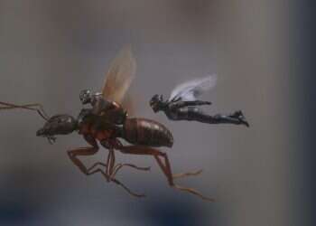 צילום: באדיבות פורום פילם