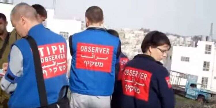 משקיפי ארגון TIPH בחברון. צילום: מתוך יוטיוב צילום: מתוך יוטיוב