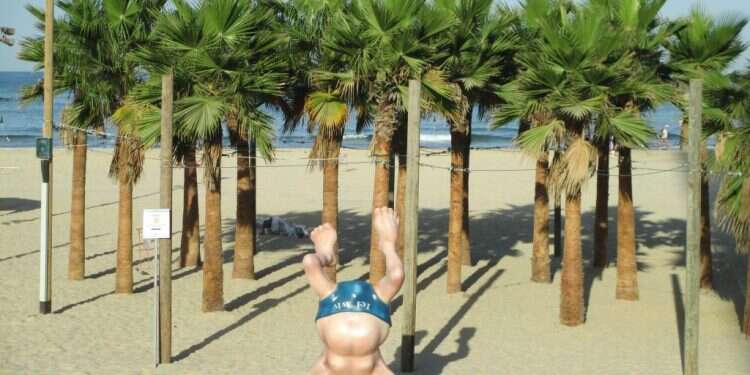 צילום: ד"ר אבישי טייכר