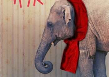 צלילה אל תוך מבוכי הזיכרון המתפורר