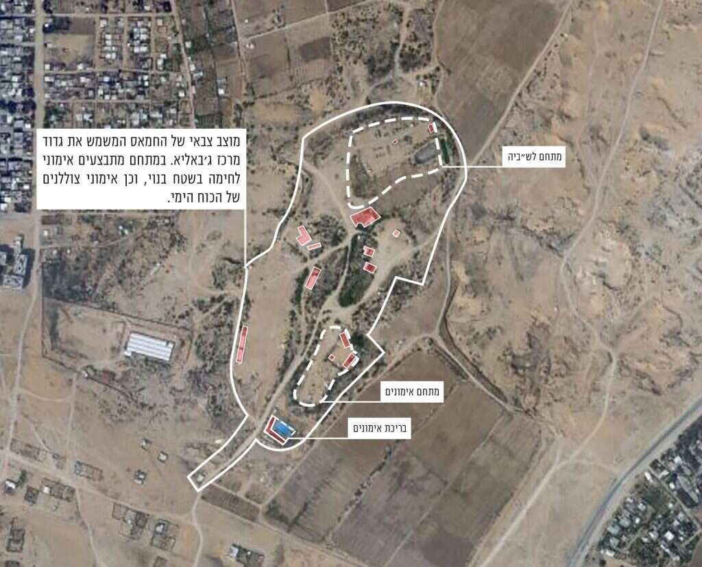 צילום: דו"צ