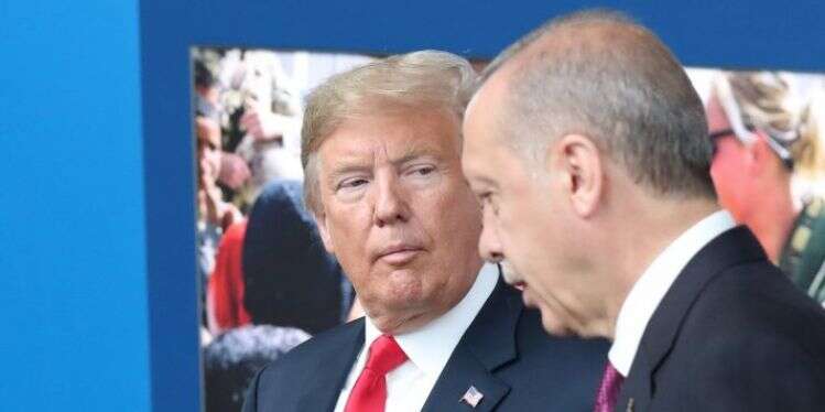 דונלד טראמפ ורג'יפ טאיפ ארדואן. צילום: AFP צילום: AFP