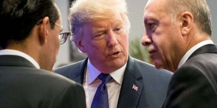 נשיא ארה טראמפ וארדואן. צילום: AFP