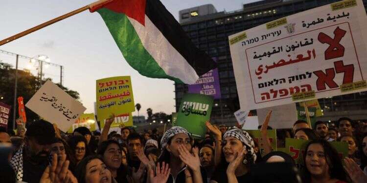 דגלי פלסטין בהפגנה נגד חוק הלאום. צילום: AFP צילום: AFP